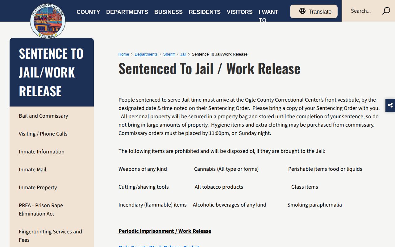 Ogle County sentence and work-release instructions